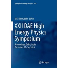 (英文圖書) XXII Dae High Energy Physics Symposium: Proceedings Delhi India December 12 -16 2016 平裝版, Springer, 英文