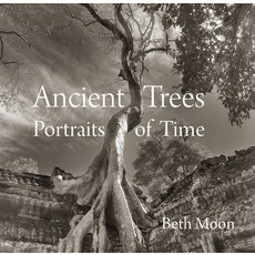 (英文圖書) Ancient Trees: Portraits of Time 精裝版, Abbeville Press, 英文