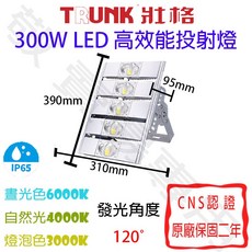 壯格 300W LED高效能投射燈 IP65防水防塵 全電壓 戶外球場照明