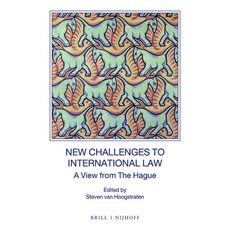 (英文圖書) New Challenges to International Law: A View from the Hague 平裝版, Brill Nijhoff, 英文