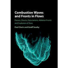 (英文圖書) Combustion Waves and Fronts in Flows 精裝版, Cambridge University Press, 英文