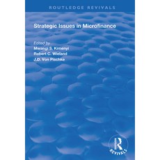 Strategic Issues in Microfinance 精裝版, Routledge, 英文