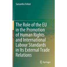 The Role of the Eu in the Promotion of Human Rights and International Labour Standards in Its Extern... 精裝版, Springer, 英文