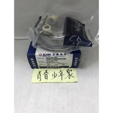 SYM 前普利組 HE1 GTevo New Fighter 金發財 150, 新包裝(包含套筒)