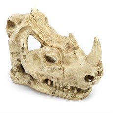PENN-PLAX 水族箱裝飾 猛獸骨頭, 1個