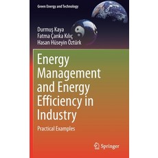 (英文圖書) Energy Management and Energy Efficiency in Industry: Practical Examples 精裝版, Springer, 英文