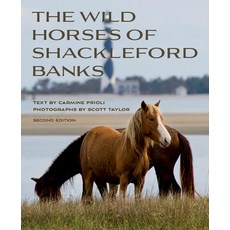(英文圖書) Wild Horses of Shackleford Banks 平裝版, Blair, 英文