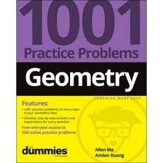 (英文圖書) Geometry: 1001 Practice Problems for Dummies (+ Free Online Practice) 平裝版, 英文