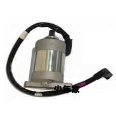 SYM 三陽 原廠起動馬達總成 (FV1/AP15W4) 適用 4MICA 150 ABS/金發財 150 碟7, FV1/AP15W4