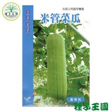 種子王國 米管菜瓜 絲瓜種子 【蔬果種子】結果力甚強 產量高 皮色淡綠 興農種苗 家庭園藝 原包裝種子 每包約12粒, 詳見包裝, 詳見包裝