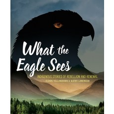 What the Eagle Sees: Indigenous Stories of Rebellion and Renewal 平裝版, Annick Press, 英文