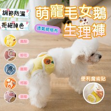 萌寵生理褲 母犬專用 生理褲 透氣網格布料 調節防漏設計 多款可愛圖案, L (32~44公分)