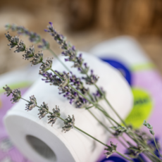 Renova滾筒式植萃香氛印花卷紙-薰衣草，滾筒衛生紙，植萃香氛，柔軟親膚，居家辦公適用, 1串, 12捲, 1730cm