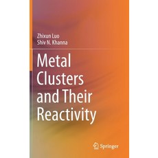 Metal Clusters and Their Reactivity 精裝版, Springer, 英文