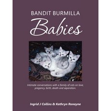 (英文圖書) Bandit Burmilla Babies: Intimate Conversations with a Family of Cats on Love Pregancy Birth... 平裝版, Balboa Press Au, 英文