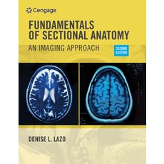 (英文圖書) Workbook for Lazo's Fundamentals of Sectional Anatomy: An Imaging Approach 2nd 平裝版, Cengage Learning, 英文