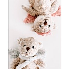 (英文圖書)Cute Teddies 平裝版, Independently Published, 英文
