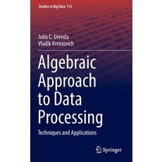 (英文圖書) Algebraic Approach to Data Processing: Techniques and Applications 精裝版, Springer, 英文