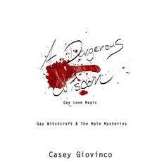 (英文圖書) A Dangerous Wisdom: Gay Love Magic 平裝版, Casey Giovinco, 英文