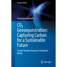 (英文圖書) Co&#8322; Geosequestration: Capturing Carbon for a Sustainable Future: Carbon D... 精裝版, Springer, 英文
