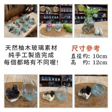 【自然屋精品】柚木魚缸座 迷你魚缸 (現貨速寄)柚木 玻璃小魚缸 玻璃花器 桌面小擺設 人工玻璃 花盆擺件 花瓶插花, 詳見包裝, 詳見包裝, 小魚缸(直徑約10*高約12cm)