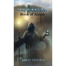 (英文圖書) The Indigent: Book of Aniyas: Book of Aniyas 精裝版, Beautiful Minds Publishing, 英文