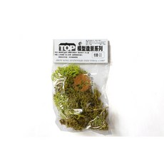 TOP 模型造景樹叢，建築模型櫥窗佈景美術勞作手工藝材料, 樹叢 22