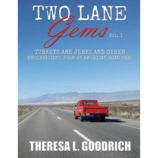 (英文圖書) Two Lane Gems Vol. 1: Turkeys are Jerks and Other Observations from an America... 平裝版, Local Tourist, 英文