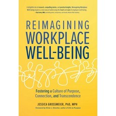 (英文圖書) Reimagining Workplace Well-Being: Fostering a Culture of Purpose Connection and Transcendence 精裝版, Modern Wisdom Press, 英文
