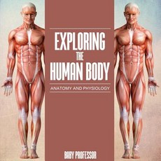 (英文圖書)Exploring the Human Body Anatomy and Physiology 平裝版, Baby Professor, 英文