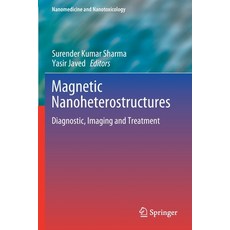 Magnetic Nanoheterostructures: Diagnostic Imaging and Treatment 平裝版, Springer, 英文