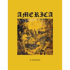 (英文圖書) America 平裝版, BSL Publishing, 英文