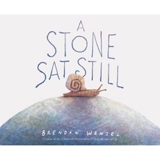 A Stone SAT Still:, Chronicle Book, 英文, 精裝版