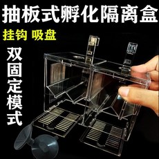 現貨 多款透明隔離盒 抽板式繁殖盒 飼養盒 小/大號 氣動款 繁殖箱 隔離箱 鬥魚 孔雀魚 仔魚 幼魚, 透明