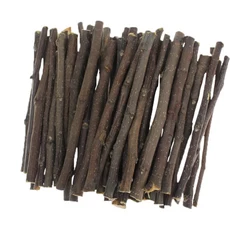 鸚鵡蘋果木磨牙枝 適用倉鼠兔子天竺鼠 潔齒玩耍解悶 100G, 1個