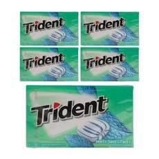 TRIDENT 無糖口香糖木糖醇薄荷甜味, 70入, 1.9g