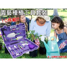 園藝種植工具套裝 10件組 種花工具 多肉盆栽工具 鐵剷 挖土耙 除草工具, 1個