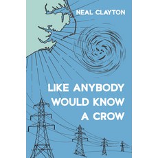 (英文圖書) Like Anybody Would Know a Crow 平裝版, Resource Publications (CA), 英文