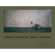 (英文圖書) Striking the Horn and Singing a Sad Song 平裝版, Pegasus International Press, 英文