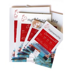 Hahnemuhle 哈內姆勒 CORNWALL 450gsm 水彩紙 - 多種尺寸可選，適合專業水彩創作, 17*24cm粗紋(H10628419)