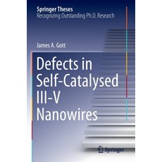 (英文圖書) Defects in Self-Catalysed III-V Nanowires 平裝版, Springer, 英文