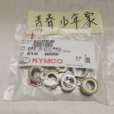 KYMCO 光陽 原廠 普利珠/滑動滾子 11g (適用 奔騰/G5/G6/雷霆/GP/VP/KRV / KFAF), 1個
