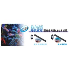 藍箱水族 中藍 多光譜LED 水族燈 海水亮白燈/深藍燈/自然混光燈 跨燈 Johnlen