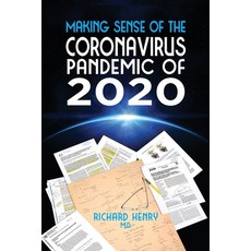 Making Sense of The Pandemic of 2020 平裝版, Beverley Street Books, 英文