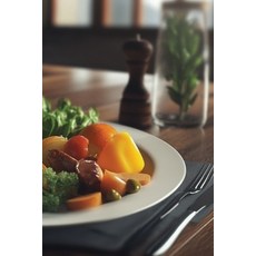 (英文圖書) Healthy Meal Plan 平裝版, Diamond Ortiz, 英文