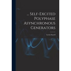 (英文圖書) ... Self-Excited Polyphase Asynchronous Generators 平裝版, Legare Street Press, 英文