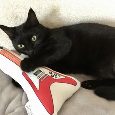 Matatabi Garage 吉他造型貓抱枕, 詳見包裝