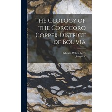 (英文圖書) The Geology of the Corocoro Copper District of Bolivia 精裝版, Legare Street Press, 英文