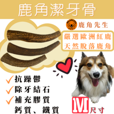 鹿角先生 歐洲紅鹿脫落鹿角潔牙骨 M尺寸 幫助潔牙 補充礦物質, 自然鹿角色, 1個
