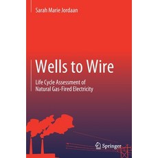 (英文圖書) Wells to Wire: Life Cycle Assessment of Natural Gas-Fired Electricity 平裝版, Springer, 英文